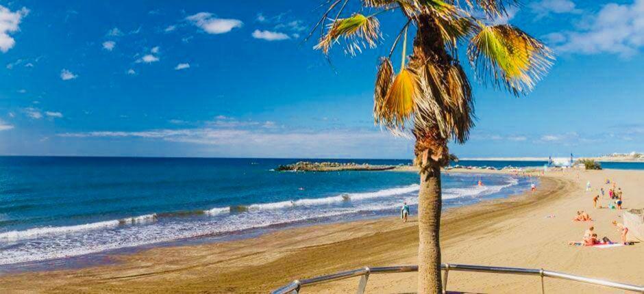 La Casita Del Sur * Maspalomas (Gran Canaria)